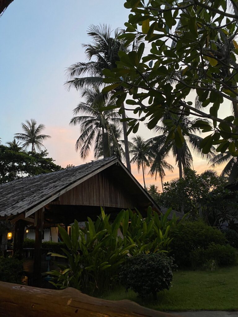 Ko Pha Ngan Intro travel hub
