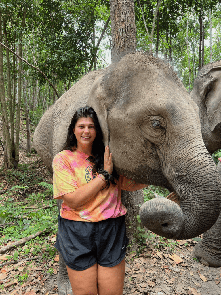 into the wild elephant camp thailand 